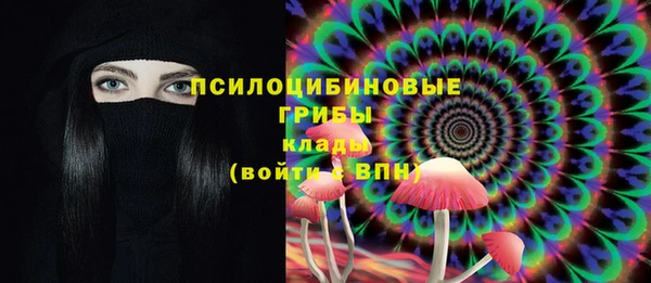 винт Мегион