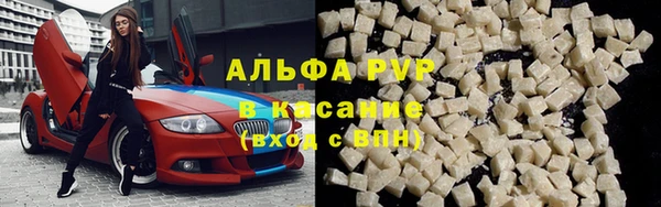 прущие грибы Медногорск