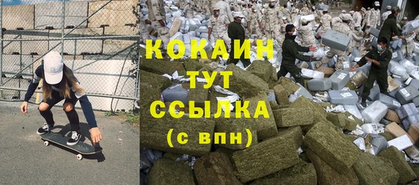 прущие грибы Медногорск