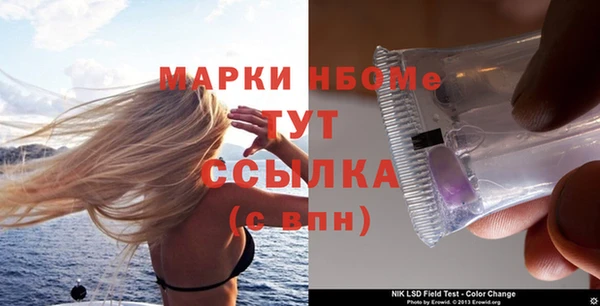 прущие грибы Медногорск