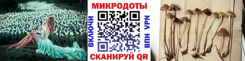 Галлюциногенные грибы Magic Shrooms  где купить наркоту  Оренбург 